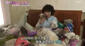 유기견 대모 배우 이용녀, 케어 박소연 작심 비판한 이유 
