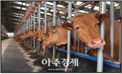 파주시, ICT융복합사업 등 88억원 규모 축산사업 신청접수 