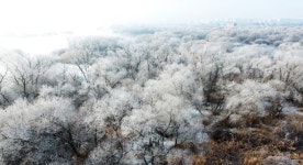 [포토] 그림같은 소양강 상고대 