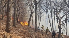 기장 개좌산 산불 발생, 긴급 재난문자 발송…개좌산은 어디?부산 기장군 철마면 위치 