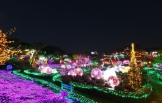 [설 명절 연휴 가볼 만한 곳]한국민속촌·남산 한옥마을·해미읍성·대관령 양떼목장 