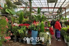 허브아일랜드 미리봄 축제 LTE급 봄을 만나보자 