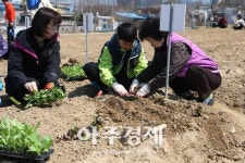 의왕시, 2019 행복가꿈 주말농장 분양 접수 