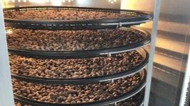 [르포] 미래식량으로 각광받는 식용곤충…굼벵이 농장 ‘베스트 굼벵이’ 가보니 