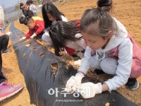 충남교육청, 텃밭정원으로 봄을 시작해요! 