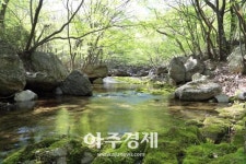 봄날 가볼만한 곳 - 전남 장성 4경 
