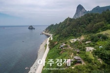 대구·경북 자치단체장, 울릉군 현장 방문 