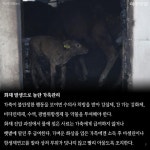 속초 산불, 산불 발생 시 대피 방법은? [카드뉴스] 