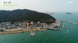 삼길포항 무엇이길래, 화제? 키조개도 제철 