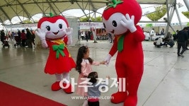 경기 광주시 퇴촌·남종면주민자치위, 퇴촌 토마토 축제 홍보 펼쳐  