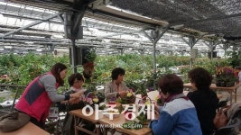 [포토]2019고양국제꽃박람회_원당화훼단지(농장 체험) 
