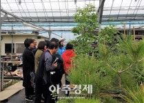 [포토]2019고양국제꽃박람회_원당화훼단지(농장 체험) 