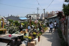 [잘가 여행지-봄]펭귄마을, 발을 딛는 순간 1970∼80년대로 돌아가는 추억 놀이터 