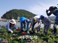 전남에서 먼저 살아보기 전국적 인기 
