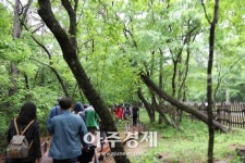 [남양주] 김한정 의원, 걷고싶은 광릉숲길 조성…25일 개통 