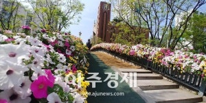 안양시 관내 교량·육교 꽃장식 행인들 눈 즐겁게 해 