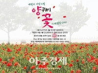 안산시 시화지구간척지에 대형꽃밭 조성 