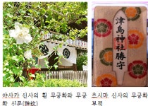 [강효백의 新경세유표 12-9] 무궁화는 꽃나무로 위장한 전범기인가? 