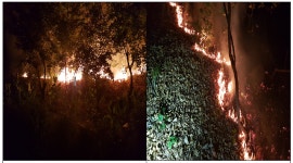 [포토뉴스]인천 강화군 선원면 냉정리 소재 임야에서 화재 발생 