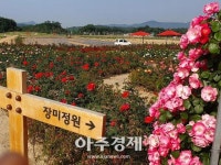 양주시 나리농원에서 힐링과 함께 소중한 추억을 담아가세요 