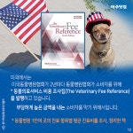 동물병원? 부담되죠 반려견·반려묘, 반려동물 주인 92%가 느꼈다 [카드뉴스] 