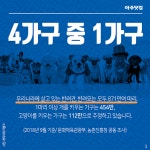 동물병원? 부담되죠 반려견·반려묘, 반려동물 주인 92%가 느꼈다 [카드뉴스] 