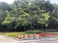 안산시 주요도로변 아름다운 여름꽃길 조성  
