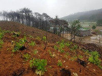 경남도, 산사태 상황실 24시간 비상 체제…시·군 관계관 회의 