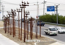 진또배기 뜻은…XX의 강원도 방언? 