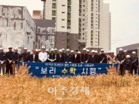파주시 LH아파트 건설현장에서 보리수확행사  