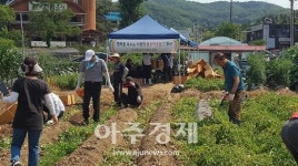 의왕시 청계동, 이웃사랑 감자 나눔행사 진행 