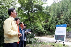 충남도, 밀원수 등 산림 자원 조성 현장 점검 