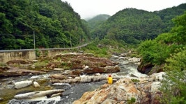 [기수정의 여행 in]금강송 숲길 느리게 걷고, 왕피천에 발 담그고…여름 휴가, 왕처럼 나기 