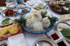 2TV 생생정보 풍년회센타, 위치와 맛은? 