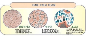 인천농업기술센터, 친환경 농법을 위한 토양검정 및  유용미생물 보급 