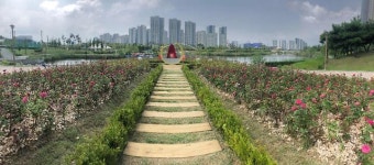 IFEZ,청라호수공원에 ‘청라로즈가든’ 오픈 