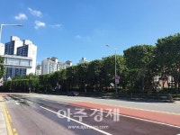 군포시, 주요대로변 이색사각 그늘범위 점점 넓어진다 