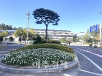 안산시, 시내주요 교통섬 7개소...가을 꽃길 조성