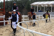 홍성군, 2020년 유소년 승마단 창단한다!