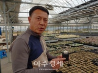 파주시 국내 최대 규모의 다육식물 농장 파주농원