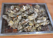 여수 원조굴구이 위치는?[생방송투데이 자족식당]