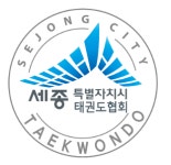 [세종시 태권도협회 선거비리] 규정 위반·선거인 투표 방해에 따른 결과로 무효