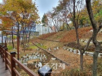 경기 오산시, 생태복원사업 완공