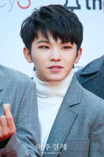 [2020 쥐띠스타 새해인사] 세븐틴 '우지'