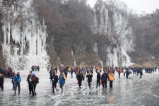 ‘철원 한탄강 얼음 트레킹’, 때아닌 겨울비로 연기