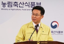 강화서 구제역 감염 항체 추가 발견…정부, 긴급 백신 등 방역 강화