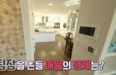 구해줘 홈즈 대전 서구 2040빌라 어디?