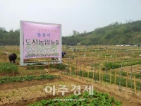 안산시, 주말농장 분양 신청 받아요
