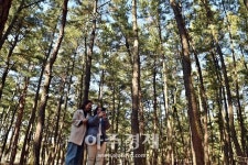 [기수정의 여행 in] 울진 관동팔경길 25km…망양정·월송정 저넘어 바다는 사색에 잠기고