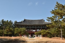 [기수정의 여행 in] 울진 관동팔경길 25km…망양정·월송정 저넘어 바다는 사색에 잠기고